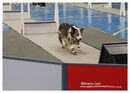 TRAILBLAZERS FLYBALL EVENT 11/6/22
