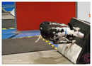 TRAILBLAZERS FLYBALL EVENT 11/6/22