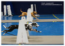 TRAILBLAZERS FLYBALL EVENT 11/6/22