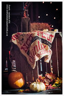 ORANGE RIVER REMEDY AND DAN SEALEY - A CELEBRATION OF NEIL YOUNG HARVEST ALBUM & MORE, STRATFORD PLAYHOUSE 30/11/24