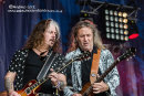 CATS IN SPACE - CROPREDY 2017