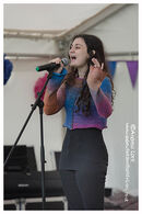 THE SESSION - NAPTON FESTIVAL 2022