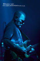 FRANK USHER (FISH BAND) - LEAMINGTON ASSEMBLY 2012