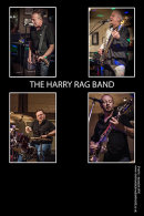 HARRY RAG BAND