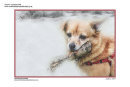 CHRISTMAS CARD DESIGN (2018)