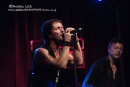 SNAKECHARMER - LEAMINGTON ASSEMBLY 2014