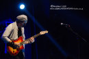 SNAKECHARMER - LEAMINGTON ASSEMBLY 2014