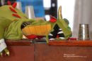 "THE DRAGONS BREW"
