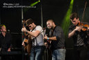 THE FALLOWS (AND GUESTS) - NAPTON FESTIVAL 2014