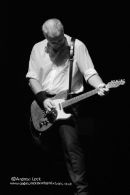 "THE FEELGOOD FACTOR"