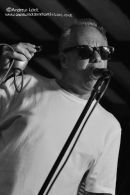 THE MOSQUITOS - THE GRIST MILL, LEAMINGTON SPA 2012