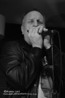 THE MOSQUITOS - THE FOX, LEAMINGTON SPA 2012