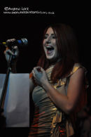 ROBIN 2, BILSTON 2010