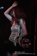 ROBIN 2, BILSTON 2010