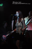 ROBIN 2, BILSTON 2010