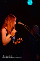 THE ROBIN 2, BILSTON 2011