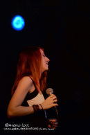 THE ROBIN 2, BILSTON 2011