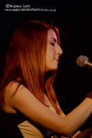 THE ROBIN 2, BILSTON 2011