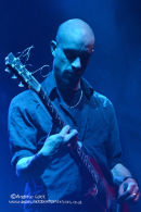 UNCLE TIM - LEAMINGTON ASSEMBLY