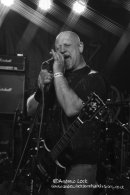 V8 - THE VAULT, RUGBY 2013