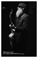 ZZ TOPS - LEAMINGTON ASSEMBLY 2011