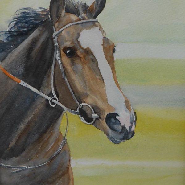 Horse