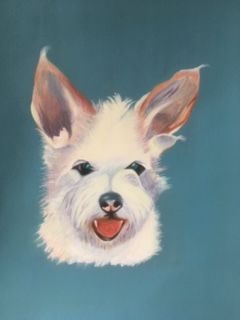 IMG 0900