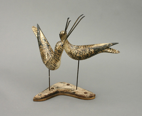 Courting Shorebirds