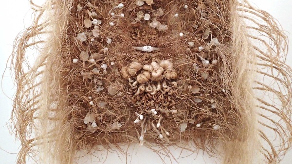 Funghi 1X detail by Tadek Beutlich