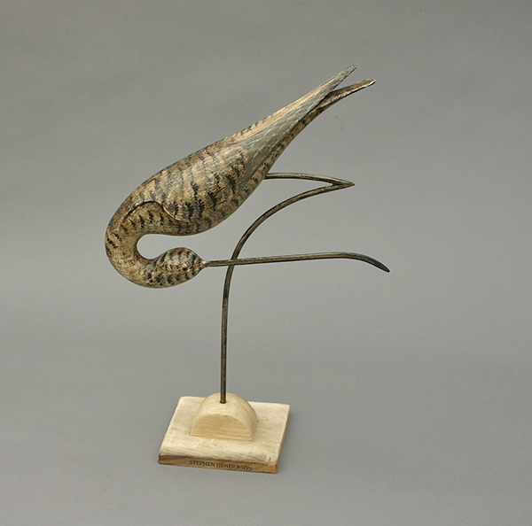 Godwit with head under