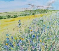 Watercolours by Liz Hankins at the Pump Barn 8 -16 August 2026