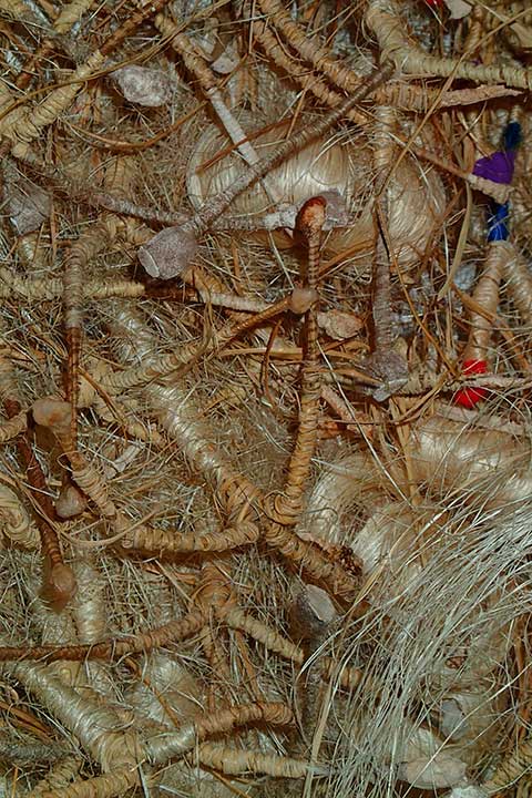 Nature Study 2 by Tadek Beutlich (Detail)