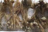 technique bundles made by Tadek Beutlich