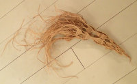 esparto grass demonstration piece by Tadek Beutlich