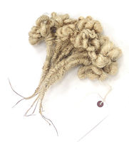 sisal textile by Tadek Beutlich