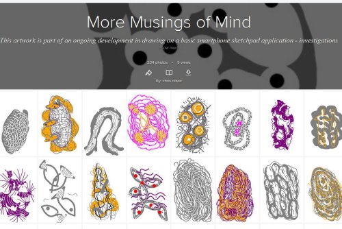 More Musings.. Flikr Gallery