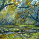 Hucklesbrook New Forest