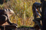 Washington Wetland Trust