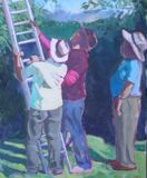 Three Men & a Ladder