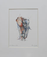 L.E.Phant and Son Limited Edition Prints and Cards