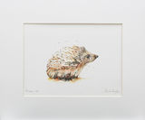 Prickles Limited Edition Prints and Cards
