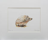 Prickles Limited Edition Prints and Cards
