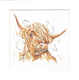 Hairy Hamish Limited Edition Prints and Cards
