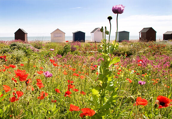 The Beach Huts, Kingsdown