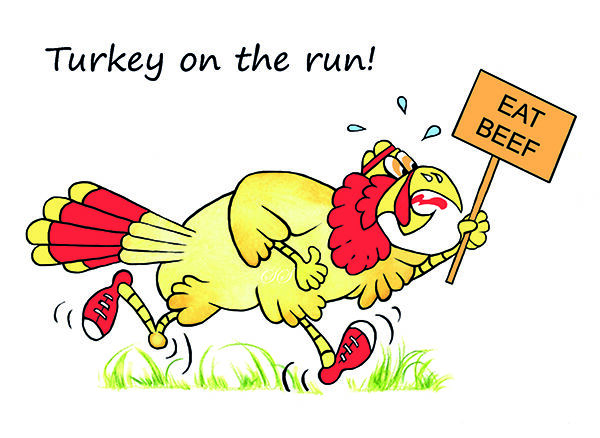 Turkey on the run!