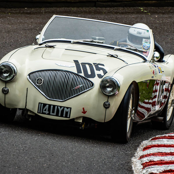 Classic Nostalgia 2019, Shelsley Walsh Hill Climb, #47 white austin healey racing car at speed on shelsley walsh hill climb circuit