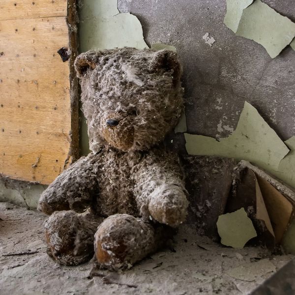 Teddy!