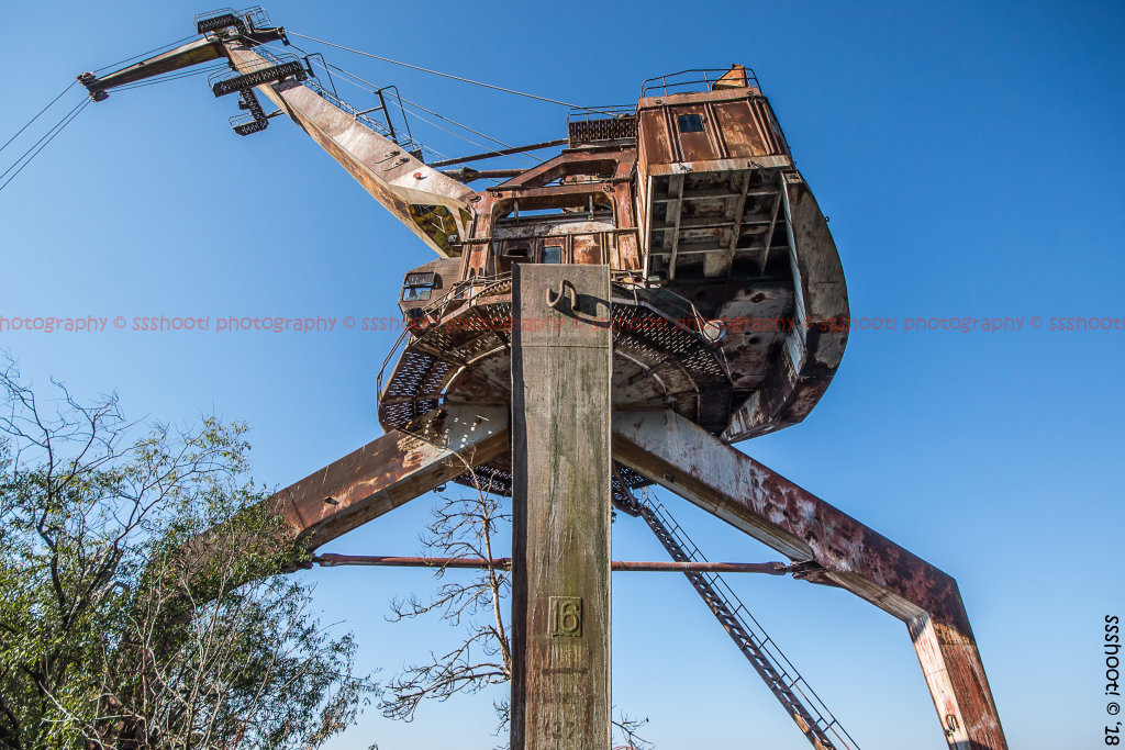 Mechanical Dinosaur