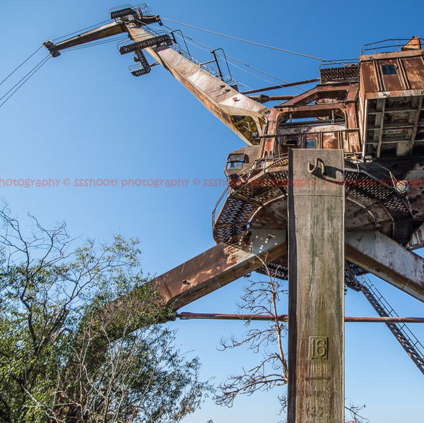 Mechanical Dinosaur
