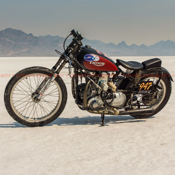 Triumph !